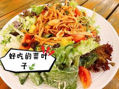 圣达菲沙拉-盐说Salt Talk北美风味西餐厅(海上世界店)