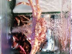 -盒马鲜生(悠方店)