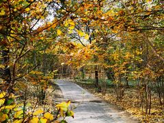 -国家植物园南园