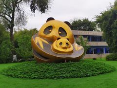 景点-成都大熊猫繁育研究基地