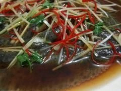 -烁佳海鲜大馅饺子