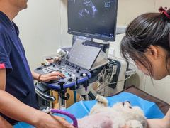 -美联众合动物医院·24h京西诊疗中心