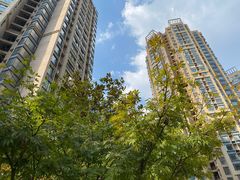 -恒大金阳新世界