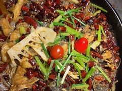 -老板恋上鱼(恒隆广场店)