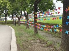 -小陆莲花蟹园农家乐(莲花岛店)