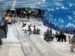 -世界之窗阿尔卑斯冰雪世界