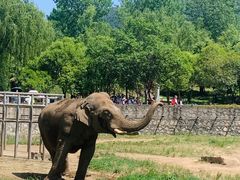 -西安秦岭野生动物园