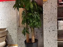 -宏姐串串香(征仪路店)