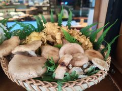 -滇铺子·云南特色菜·第九届野生菌美食节(曲靖万达店)
