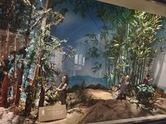 -长沙简牍博物馆