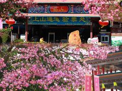 -东莞观音山旅游风景区
