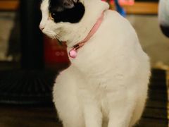 -么么咖啡(燕郊店)