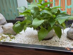 -筱爷叔·上海传统手工菜(新桥店)