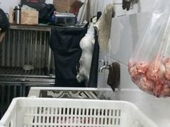 -功夫兔