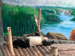 -青藏高原野生动物园