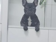 -宠颐生宠物医院·综合诊疗(先锋分院)