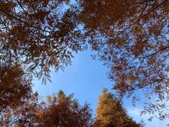 -东钱湖旅游度假区