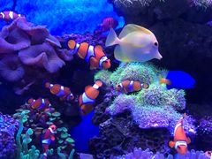 -多彩贵州城极地海洋世界