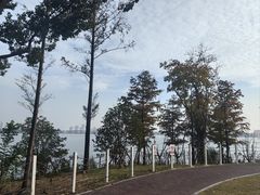 -金鸡湖桃花岛