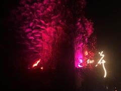 -花·fleur古董西餐厅(西城夜未央店)