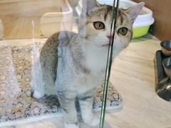 -悠尼宠物·独立低压伊珊娜洗护·美容·寄养(兰谷路店)