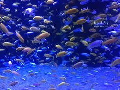 -成都浩海立方海洋公园