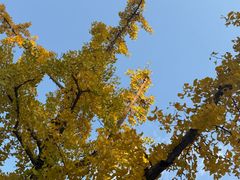 -云龙山
