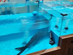 -一澜江宴·江景公园餐厅(江滩公园店)