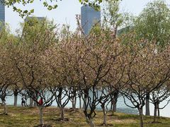 -天鹅湖体育公园