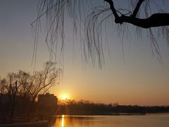 -百年义利(幸福大街店)