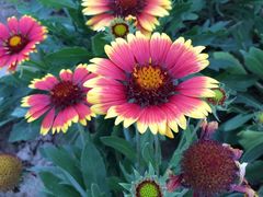 -米悦量贩式KTV(悦海新天地店)