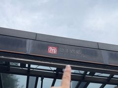 -盈丰路(地铁站)