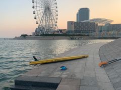 -琴岛之星摩天轮