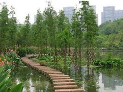 -重庆彩云湖湿地公园