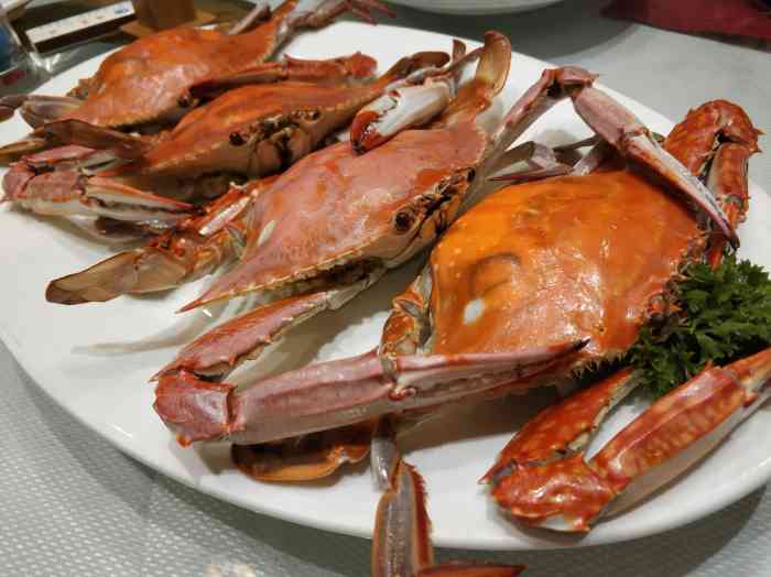 海宴一品-"不错啊 海鲜很新鲜扇贝壳不大 肉团不."-大众点评移动版