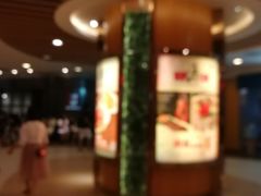 -VT101维多利广场