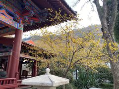 -西安华清御汤酒店