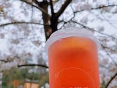 绛初匀·樱花茶-鸡鸣赐茶(鸡鸣寺路店)