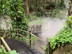 -呀诺达热带雨林