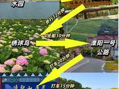 -紫藤园·天目湖大鱼头(南山竹海店)