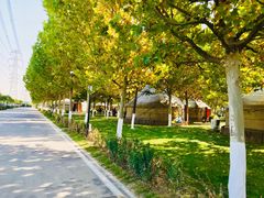 -九十九顶毡房(阜石路店)