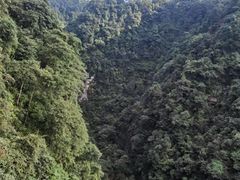 -碧峰峡风景区