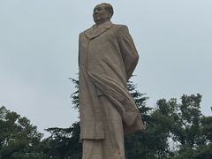 -巢爷老味(东方红店)