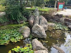 -南山风景名胜区