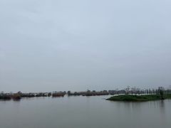 -合肥滨湖国家森林公园