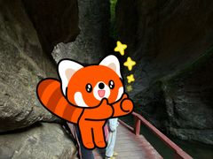 -牛背梁国家森林公园