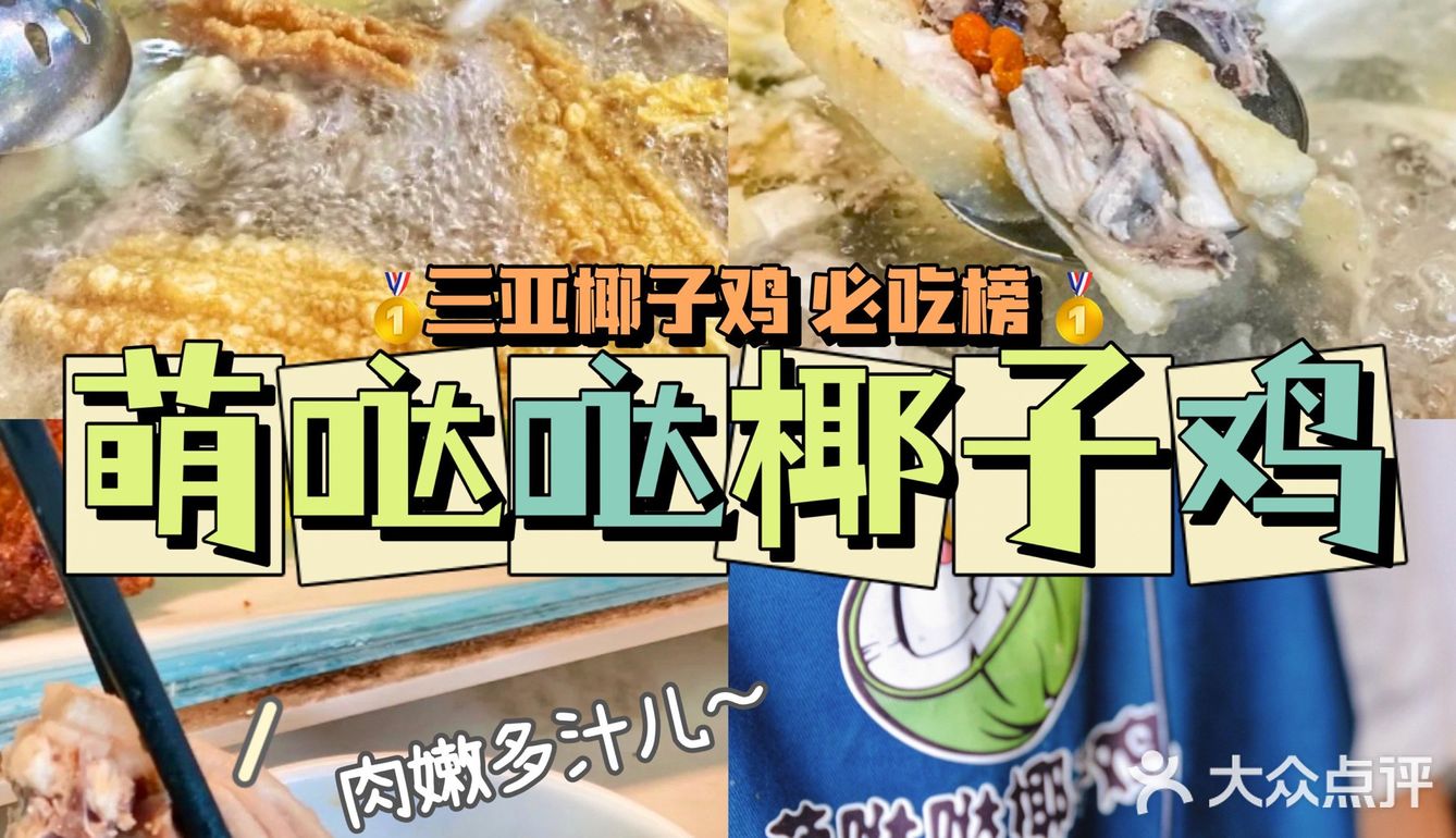 三亚🥥｜海南不仅要吃海鲜🦑椰子鸡🍗吃萌哒哒🉑️‼️