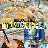 三亚🥥｜海南不仅要吃海鲜🦑椰子鸡🍗吃萌哒哒🉑️‼️