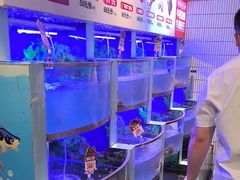 -七欣天香辣蟹火锅(南京建宁路大观天地店)