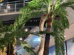 -湖南省地质博物馆